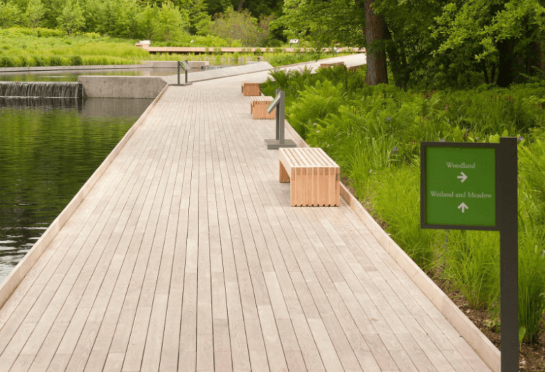 Black Locust Lumber — Global innovators since 1999